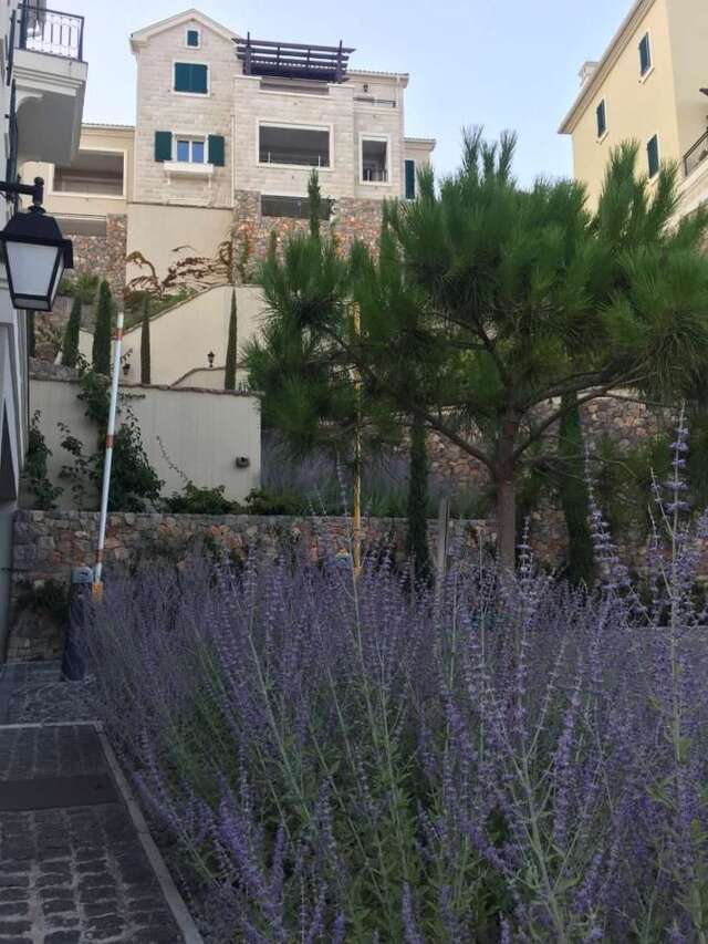 Апартаменты Lustica Bay Тиват-30